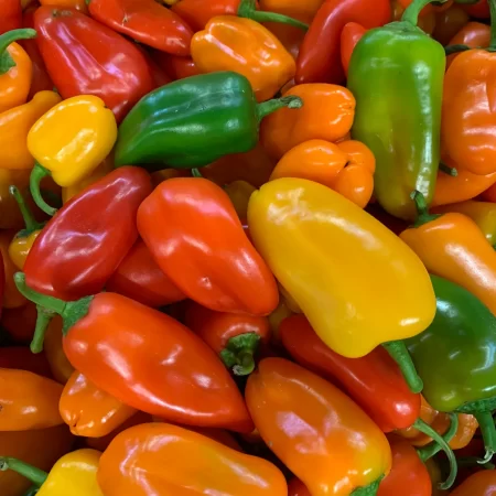 Fresh Habanero (ata rodo) Pepper