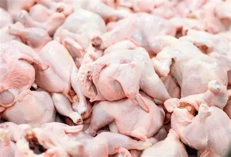 Poultry Meat (Chicken)