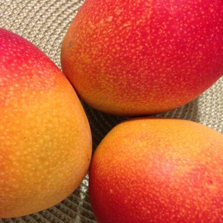 Apple Mangoes
