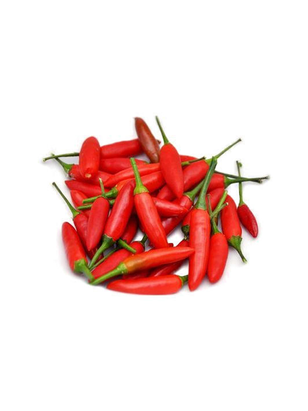 Pepper