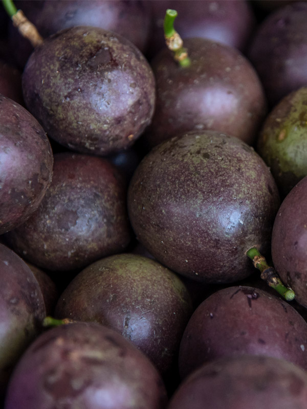 Passion Fruit
