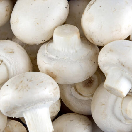 Mushrooms