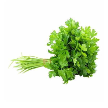 Coriander