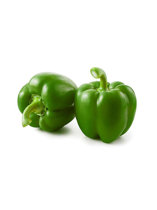 Capsicum