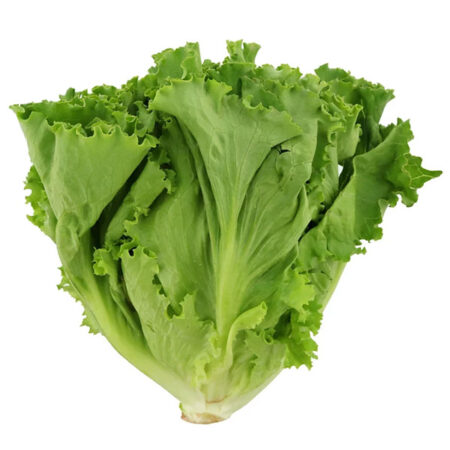 Lettuce
