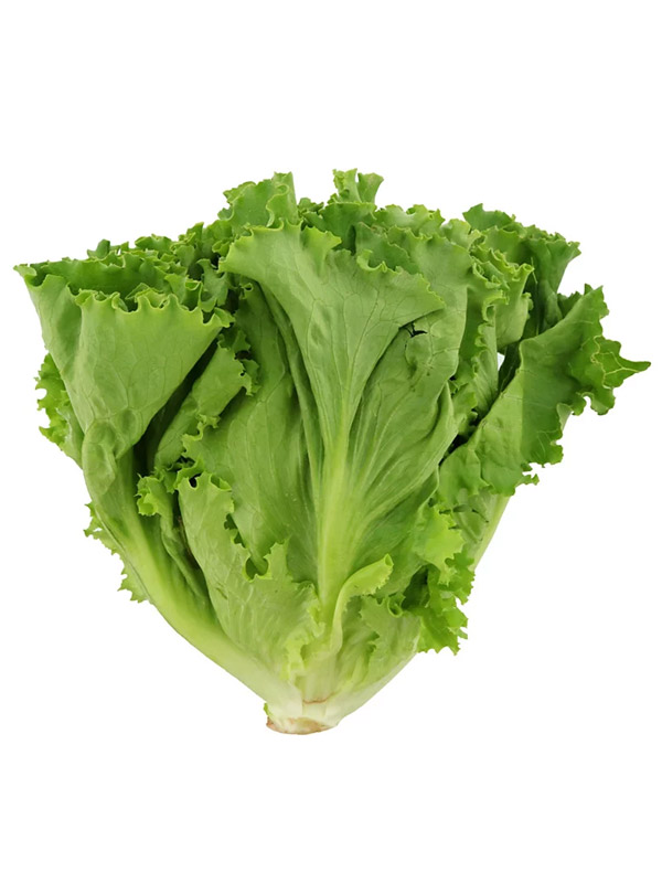 Lettuce