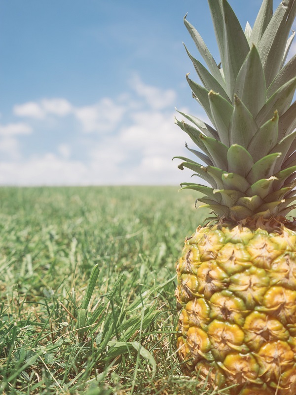 Pineapples