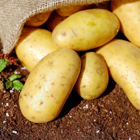 Irish Potatoes