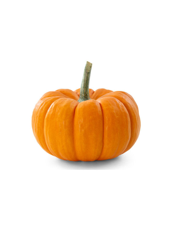 Pumpkin