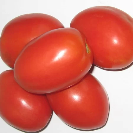 Fresh Tomatoes
