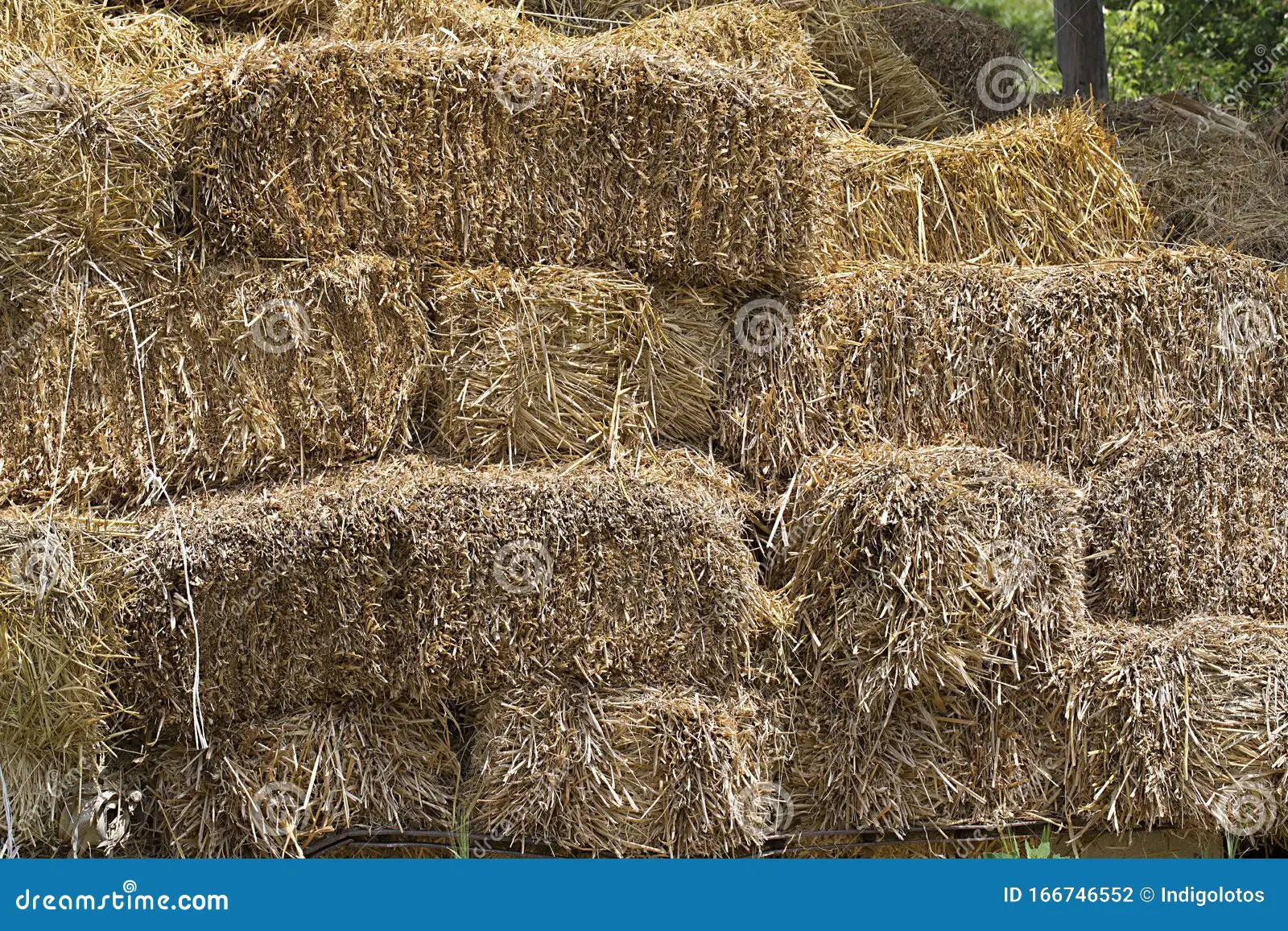 Hay Livestock Feed