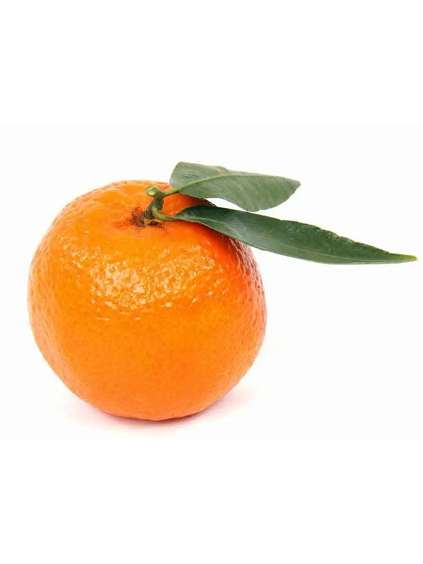 Tangerine