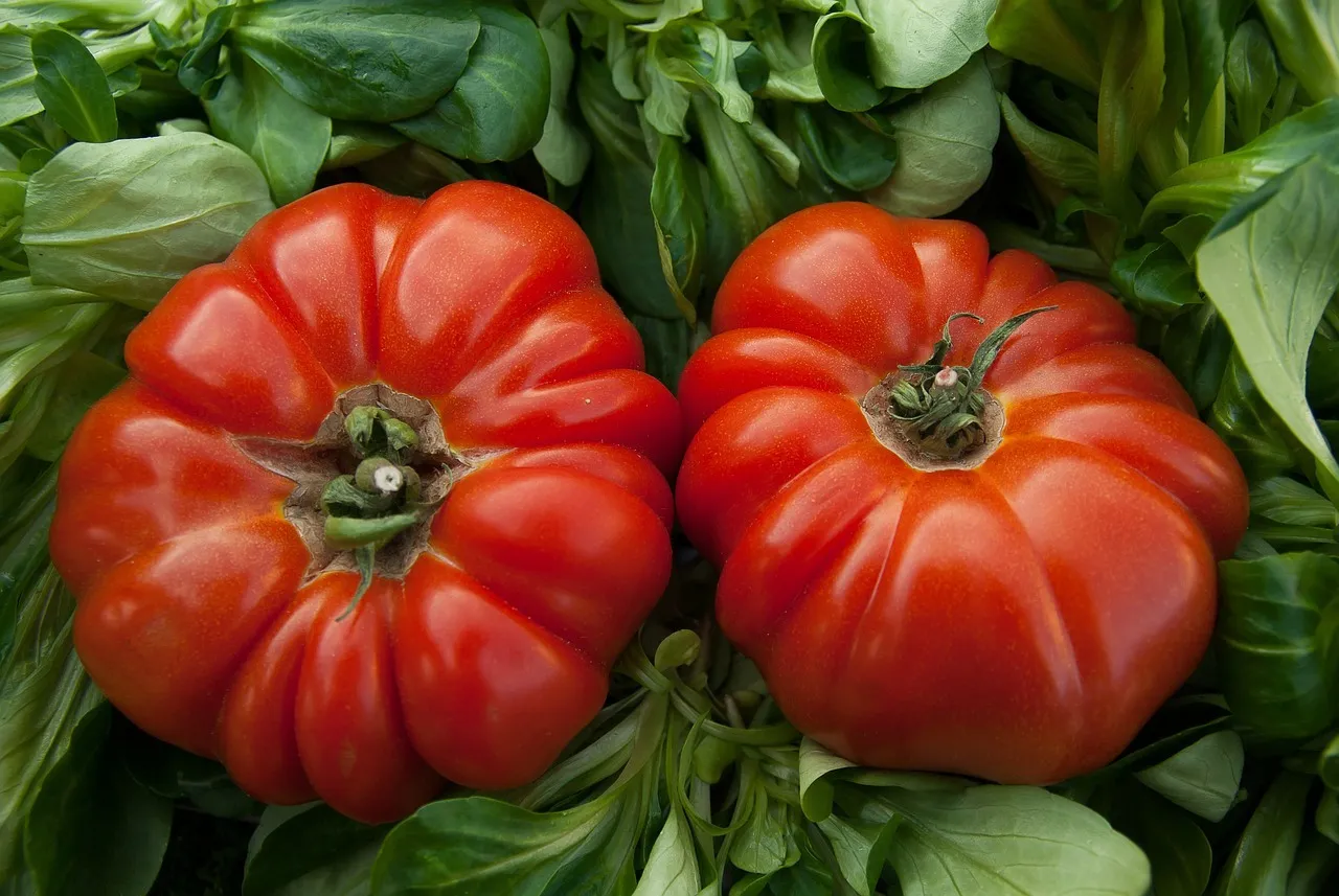 Beefsteak Tomatoes